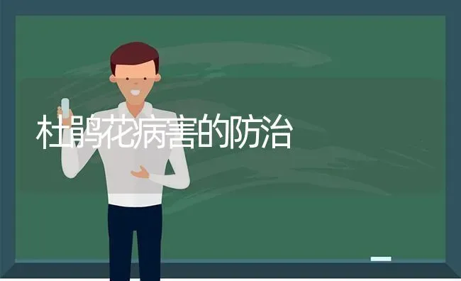 杜鹃花病害的防治 | 养殖技术大全