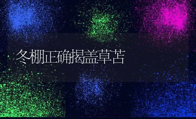 冬棚正确揭盖草苫 | 养殖知识
