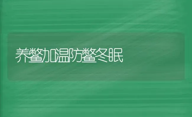 养鳖加温防鳖冬眠 | 养殖技术大全