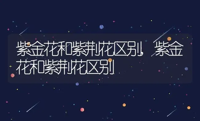 紫金花和紫荆花区别,紫金花和紫荆花区别 | 养殖科普