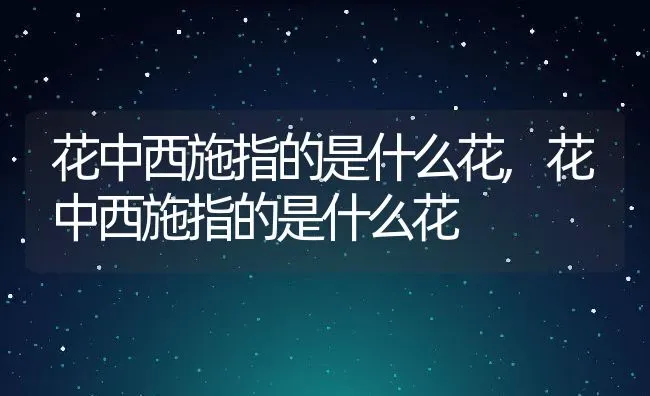 花中西施指的是什么花,花中西施指的是什么花 | 养殖科普