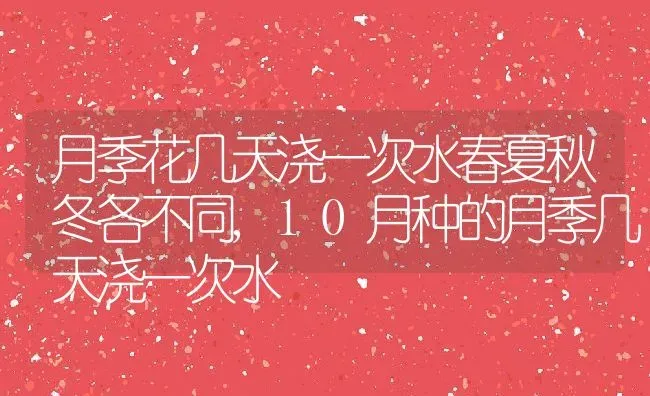 月季花几天浇一次水春夏秋冬各不同,10月种的月季几天浇一次水 | 养殖学堂