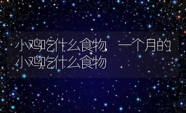 小鸡吃什么食物,一个月的小鸡吃什么食物 | 养殖科普