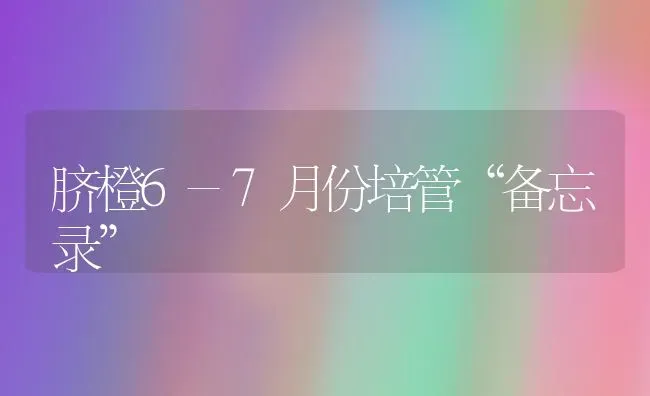 脐橙6-7月份培管“备忘录” | 养殖知识