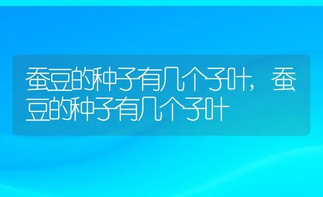 蚕豆的种子有几个子叶,蚕豆的种子有几个子叶 | 养殖科普