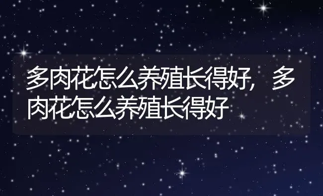 木瓜海棠怎么养殖方法,日本木瓜海棠怎么养？ | 养殖科普