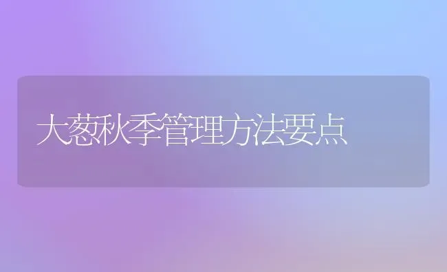 大葱秋季管理方法要点 | 养殖技术大全