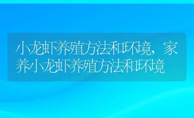 小龙虾养殖方法和环境,家养小龙虾养殖方法和环境 | 养殖学堂