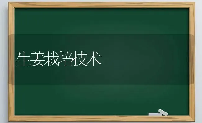 生姜栽培技术 | 养殖知识