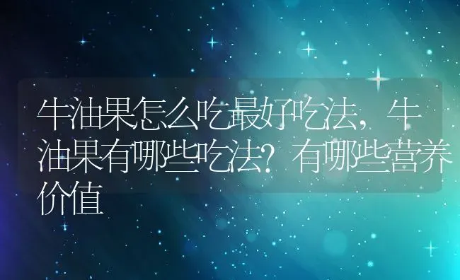 牛油果怎么吃最好吃法,牛油果有哪些吃法？有哪些营养价值 | 养殖学堂