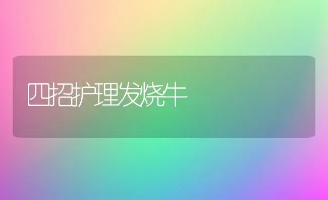 四招护理发烧牛 | 养殖知识