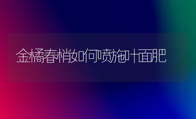 金橘春梢如何喷施叶面肥 | 养殖技术大全