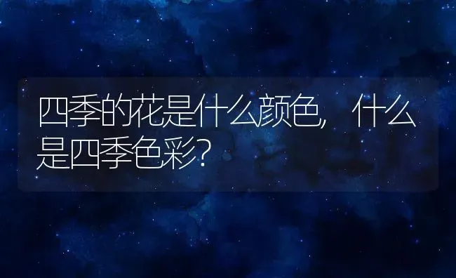 四季的花是什么颜色,什么是四季色彩？ | 养殖科普