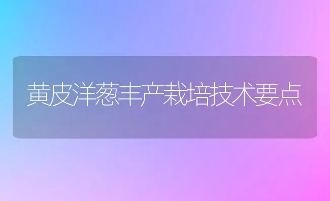 黄皮洋葱丰产栽培技术要点 | 养殖技术大全