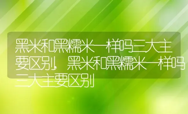 黑米和黑糯米一样吗三大主要区别,黑米和黑糯米一样吗三大主要区别 | 养殖科普