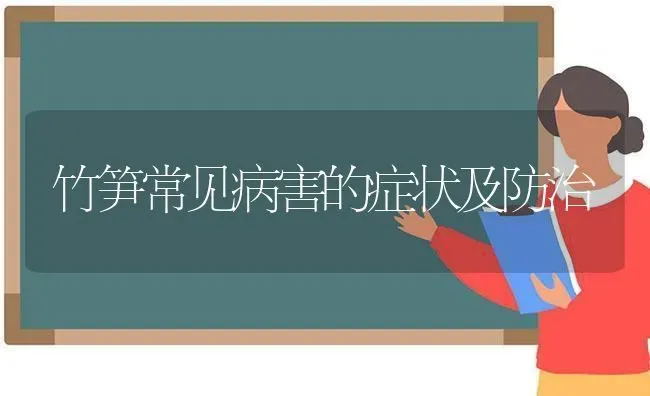 竹笋常见病害的症状及防治 | 养殖技术大全