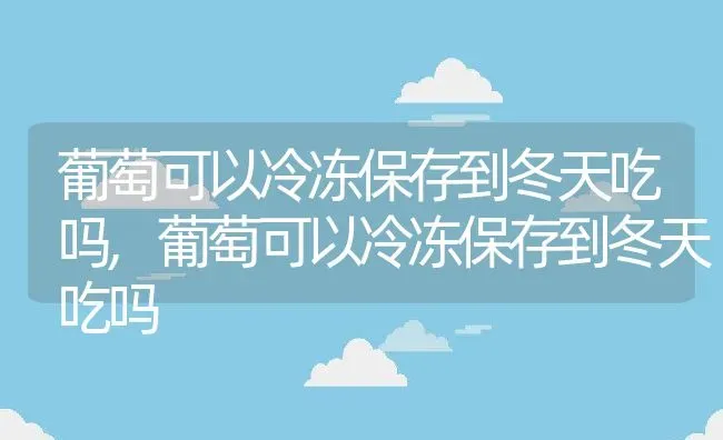 葡萄可以冷冻保存到冬天吃吗,葡萄可以冷冻保存到冬天吃吗 | 养殖科普