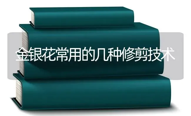 金银花常用的几种修剪技术 | 养殖知识