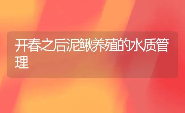 开春之后泥鳅养殖的水质管理 | 养殖技术大全