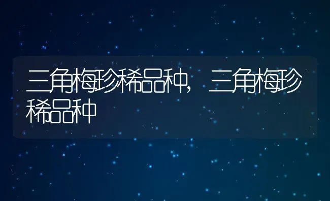 三角梅珍稀品种,三角梅珍稀品种 | 养殖科普