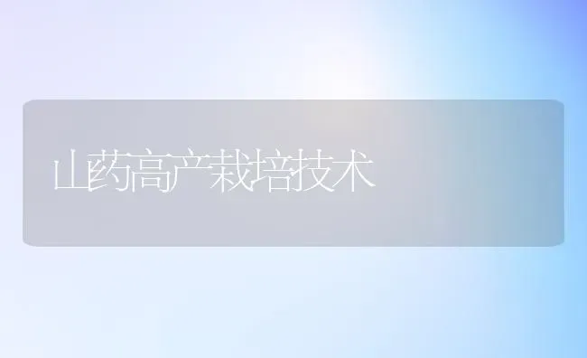 山药高产栽培技术 | 养殖知识