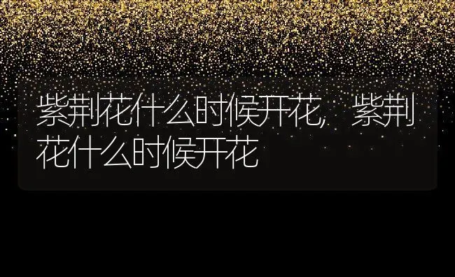 紫荆花什么时候开花,紫荆花什么时候开花 | 养殖科普