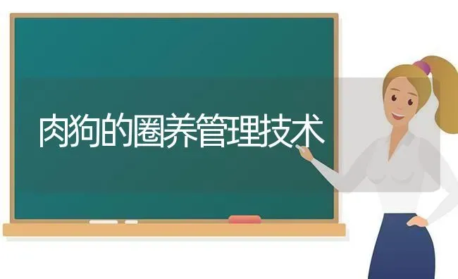 肉狗的圈养管理技术 | 养殖技术大全