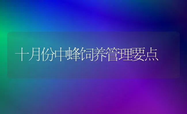 十月份中蜂饲养管理要点 | 养殖知识