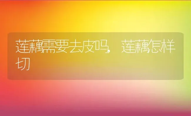 莲藕需要去皮吗,莲藕怎样切 | 养殖学堂