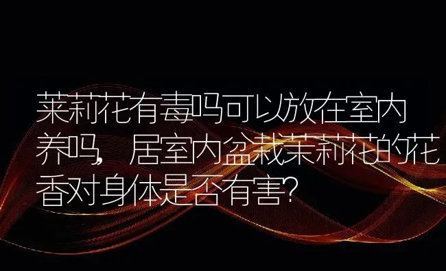 莱莉花有毒吗可以放在室内养吗,居室内盆栽茉莉花的花香对身体是否有害？ | 养殖科普