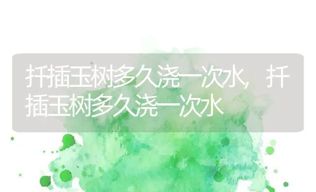 扦插玉树多久浇一次水,扦插玉树多久浇一次水 | 养殖科普