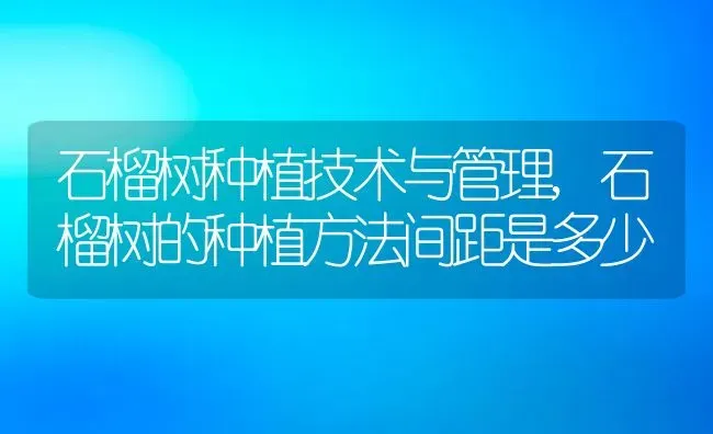 石榴树种植技术与管理,石榴树的种植方法间距是多少 | 养殖学堂