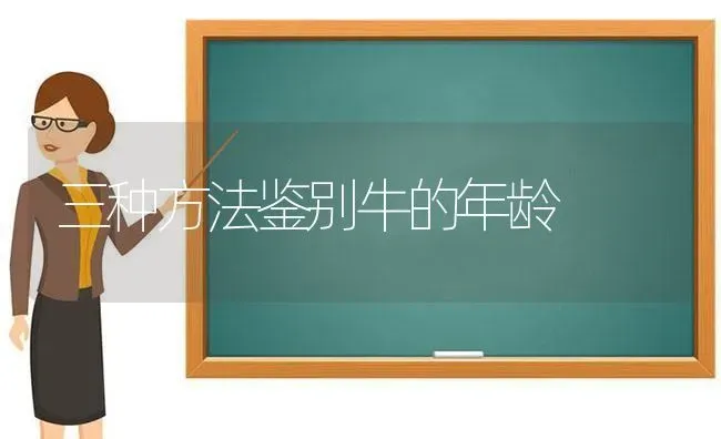 三种方法鉴别牛的年龄 | 养殖技术大全