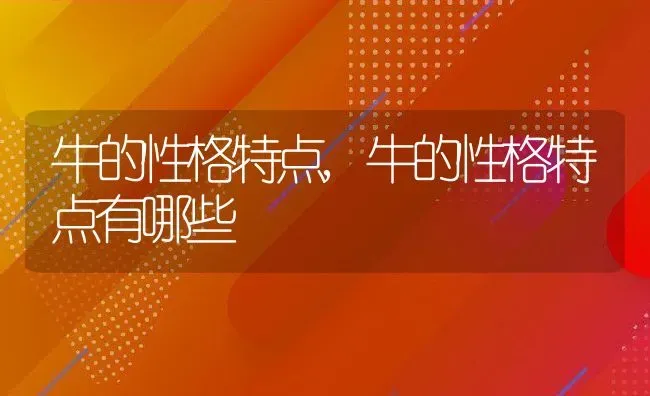 牛的性格特点,牛的性格特点有哪些 | 养殖科普