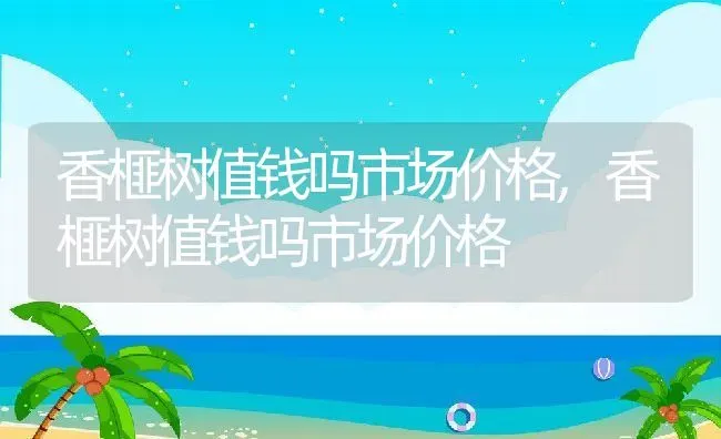 香榧树值钱吗市场价格,香榧树值钱吗市场价格 | 养殖科普