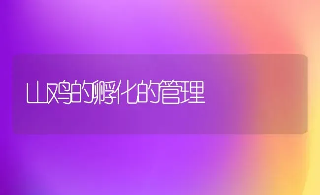 孵化过程中适宜的温度 | 养殖知识