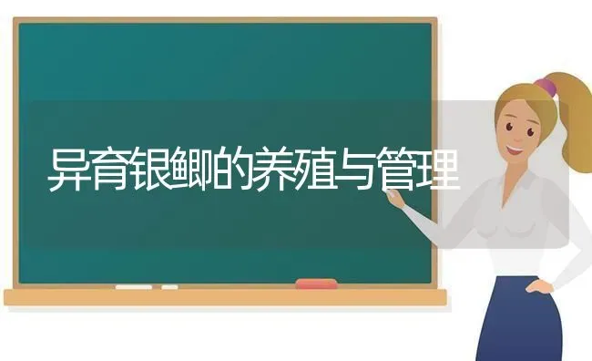异育银鲫的养殖与管理 | 养殖知识