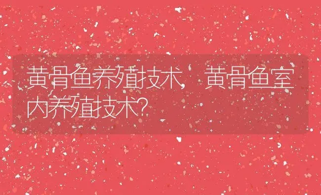 黄骨鱼养殖技术,黄骨鱼室内养殖技术？ | 养殖科普