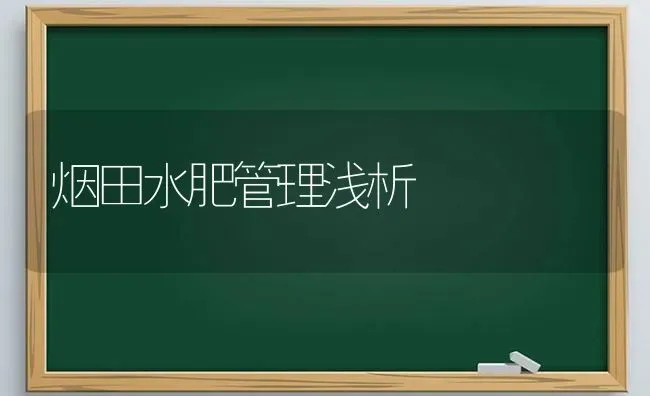 烟田水肥管理浅析 | 养殖知识