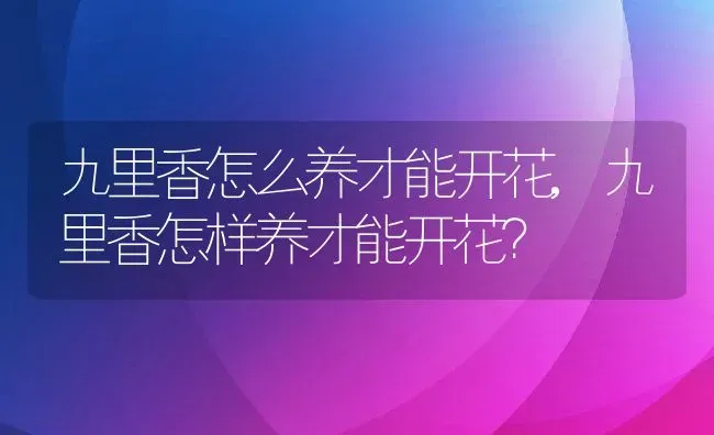 九里香怎么养才能开花,九里香怎样养才能开花？ | 养殖学堂