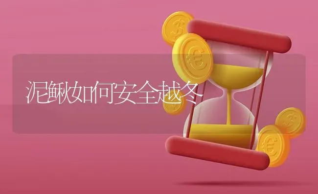 泥鳅如何安全越冬 | 养殖技术大全