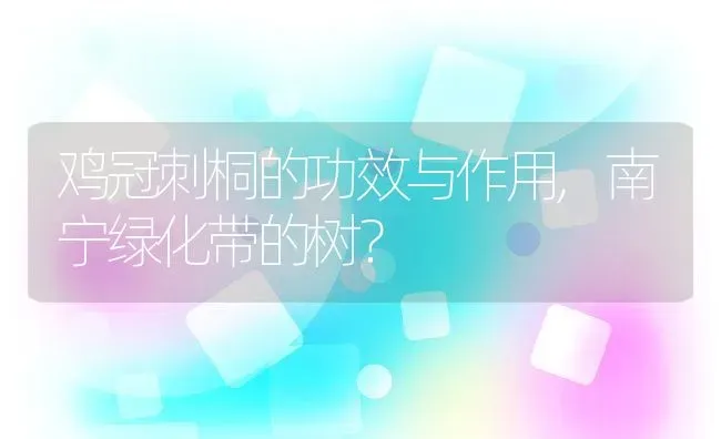 鸡冠刺桐的功效与作用,南宁绿化带的树？ | 养殖科普