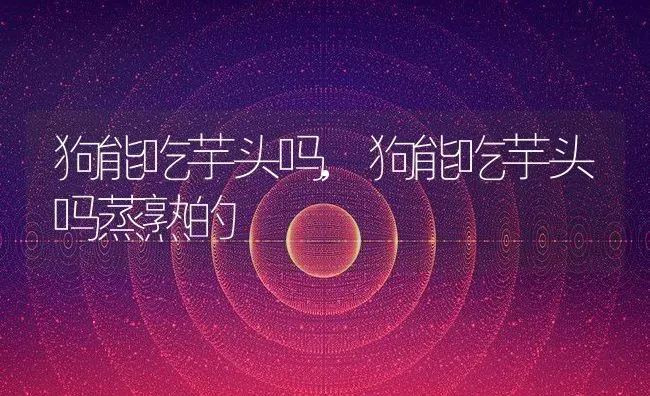 狗能吃芋头吗,狗能吃芋头吗蒸熟的 | 养殖科普