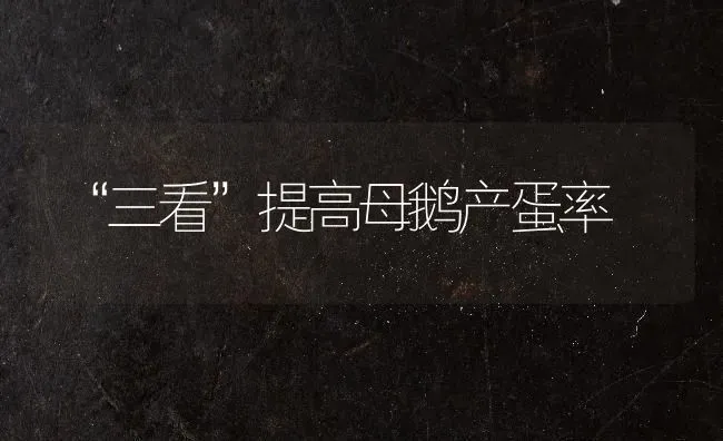 金丝瓜的高产栽培技术 | 养殖技术大全