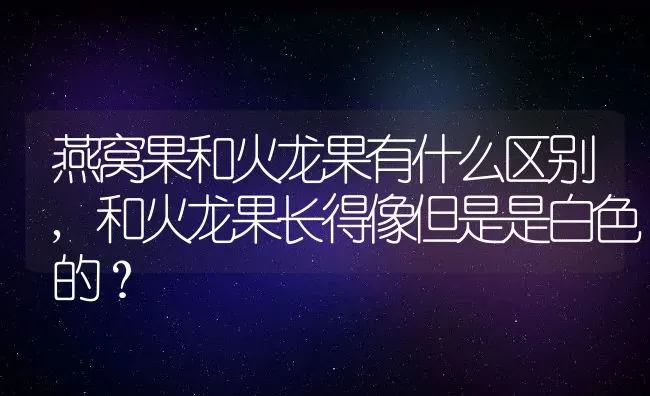 燕窝果和火龙果有什么区别,和火龙果长得像但是是白色的？ | 养殖科普