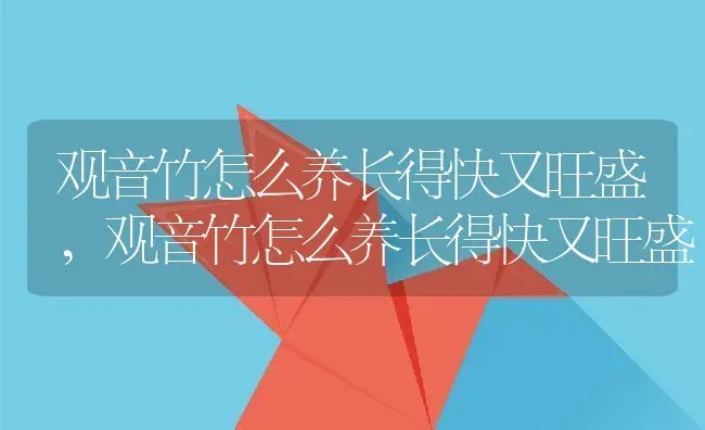 观音竹怎么养长得快又旺盛,观音竹怎么养长得快又旺盛 | 养殖科普