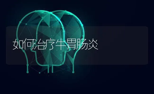 如何治疗牛胃肠炎 | 养殖技术大全