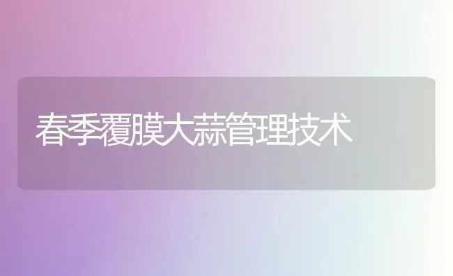 春季覆膜大蒜管理技术 | 养殖知识