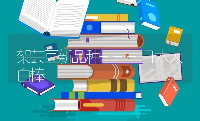 架芸豆新品种---日本大白棒 | 养殖技术大全
