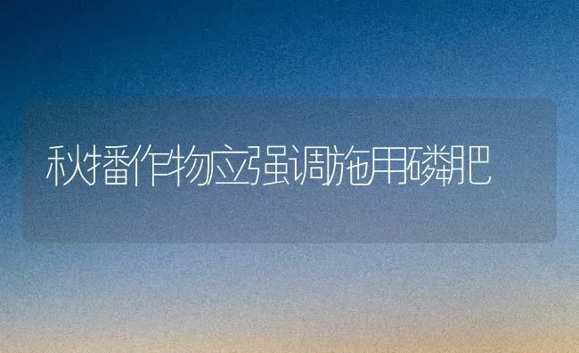 秋播作物应强调施用磷肥 | 养殖知识